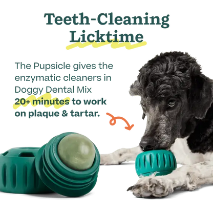 Pupsicle Mix- Doggy Dental