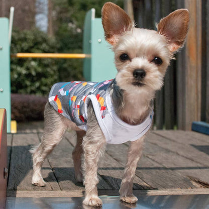 Lifesaver Dog Tank
