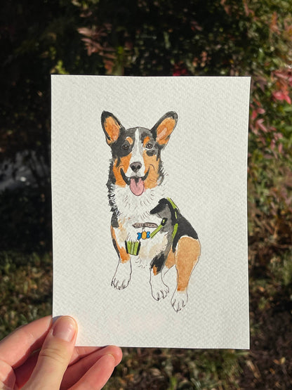 Custom Watercolor Pet Portrait - Assorted Sizes