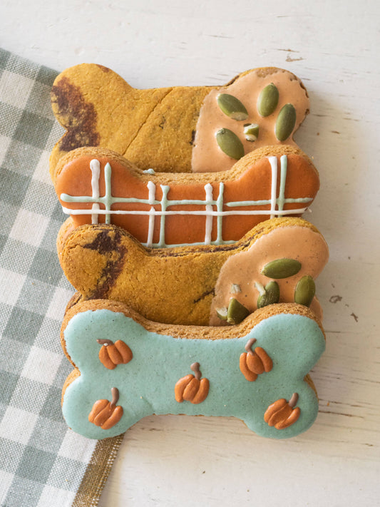 Pumpkin Patch Bone Box for Dogs