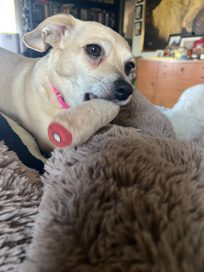 Bite my Finger Toy