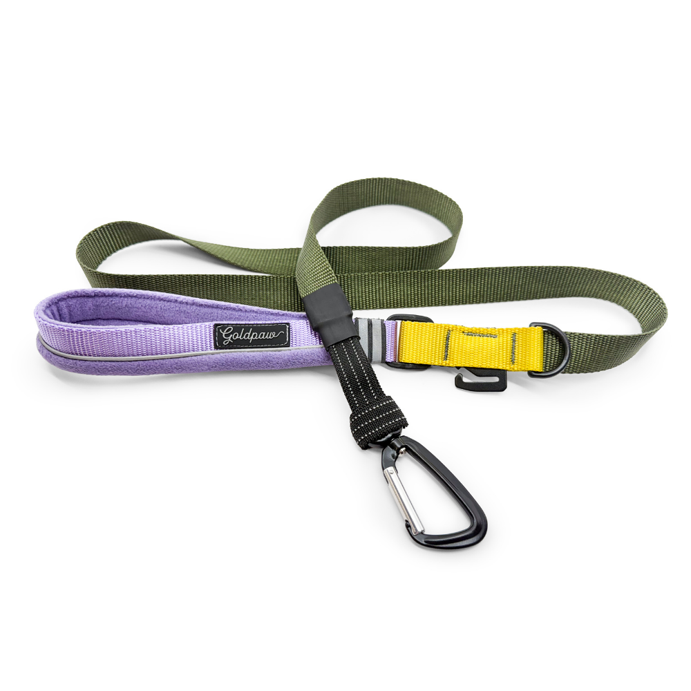 Featherweight Leash