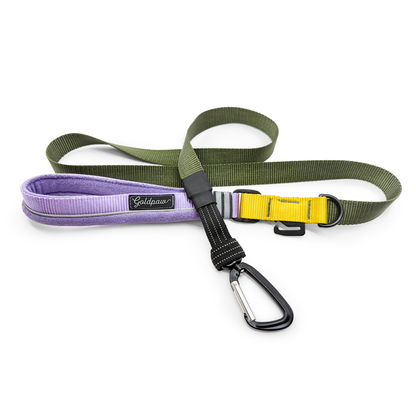 Featherweight Leash