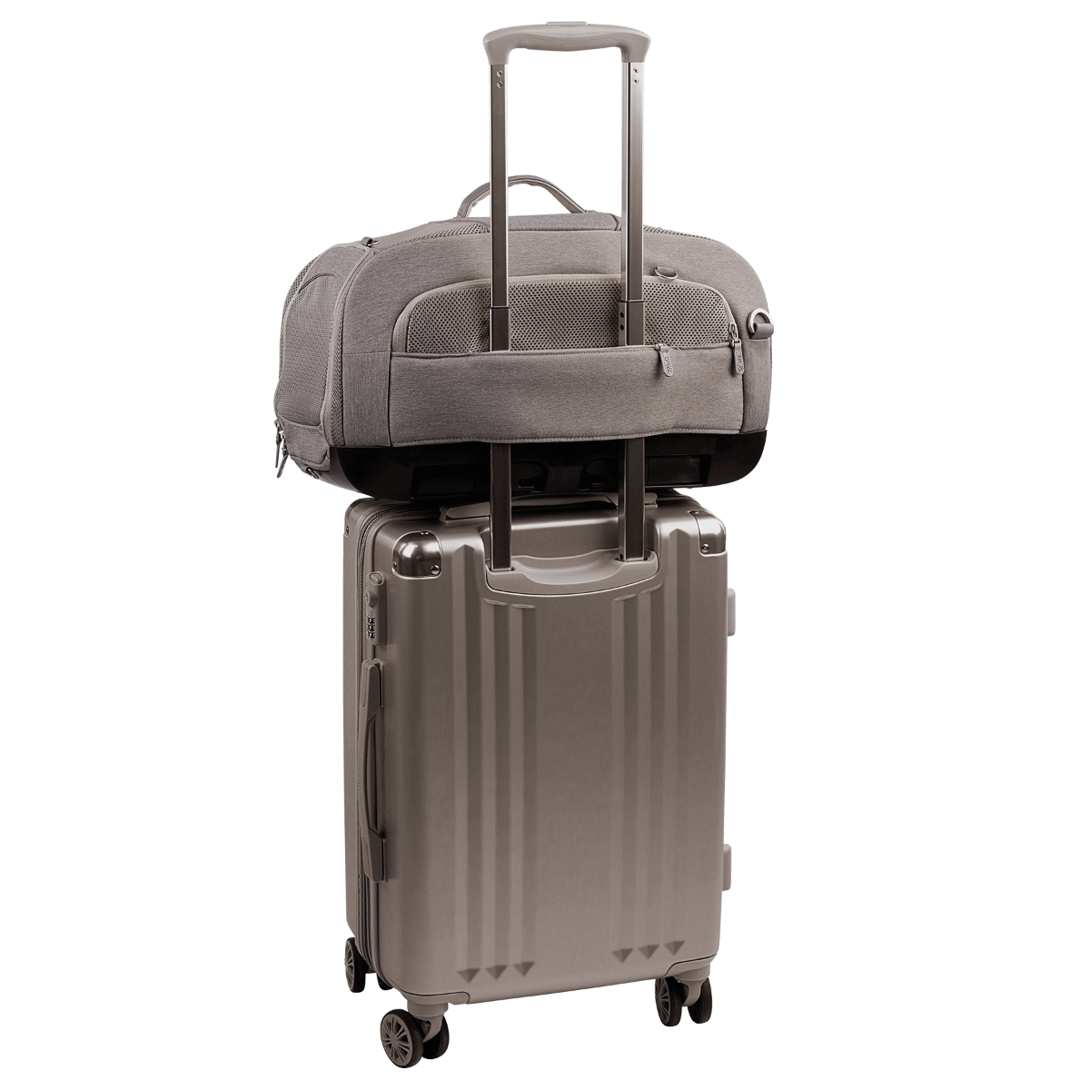 Tavo Dupree + Roscoe Pet Travel System