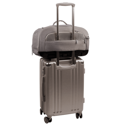 Tavo Dupree + Roscoe Pet Travel System