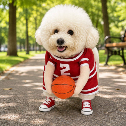 Basketball Dog Costume
