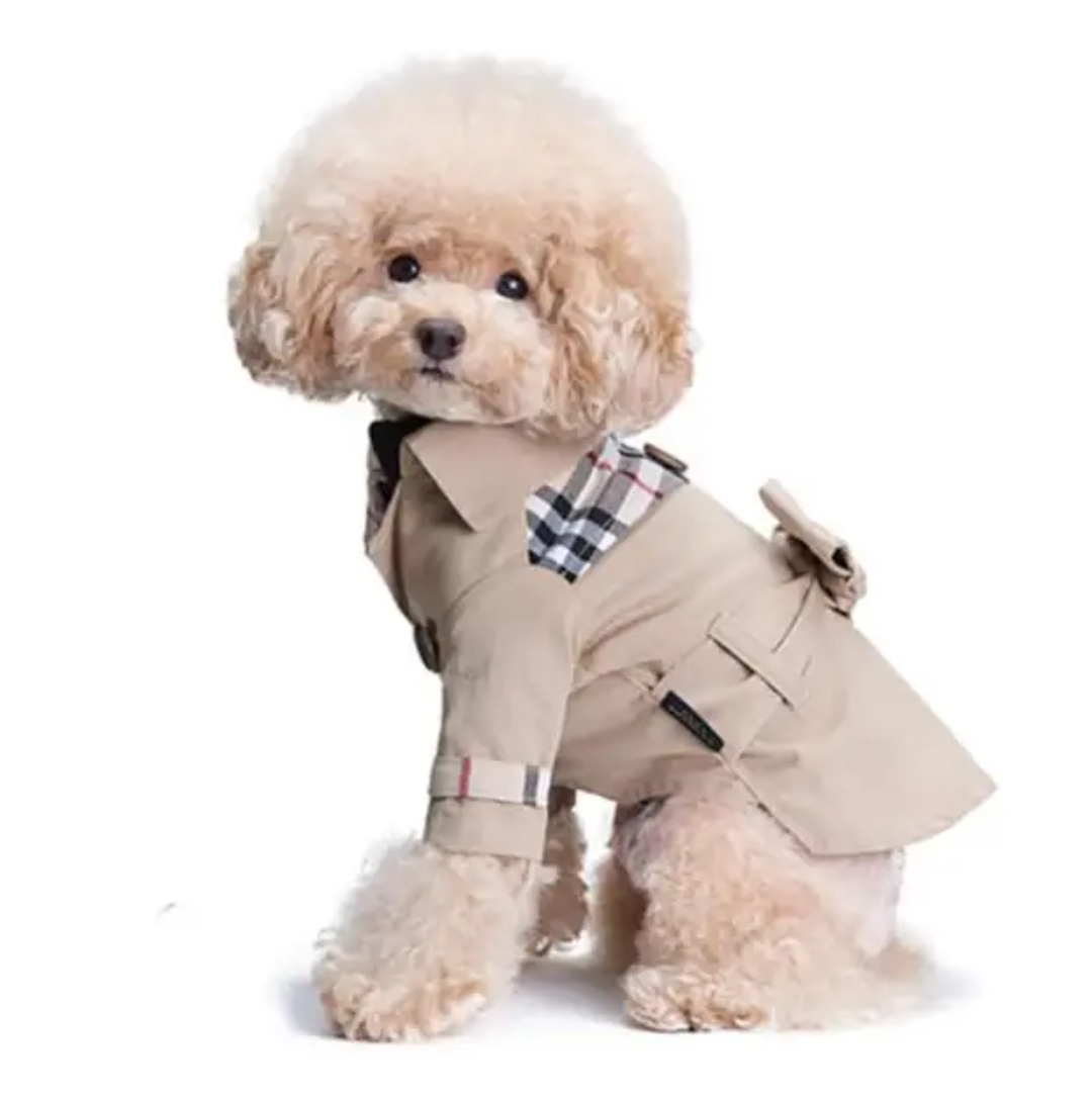 Burberry Dog Coat