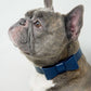 Signature Dog Collar & Leash Set - Navy