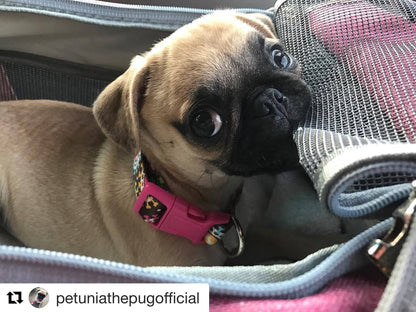 Transportín para mascotas apto para aerolíneas de la serie Gold de Mr. Peanut - Gris platino