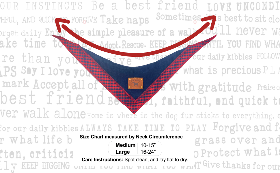 Craig Neck Tie Formal Bandana