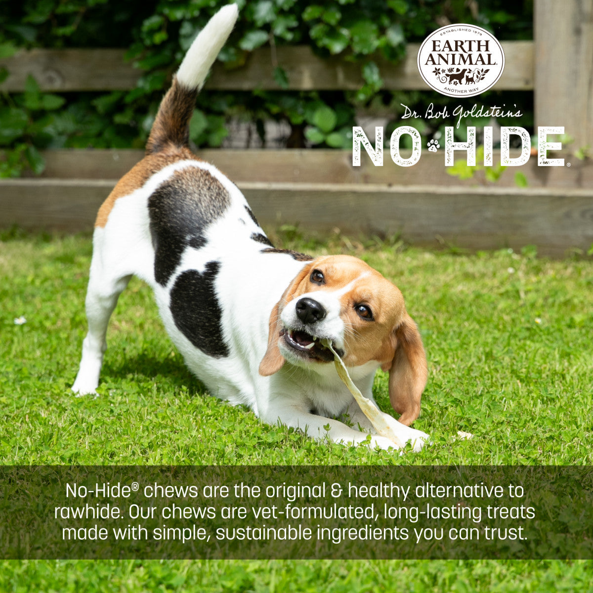 No-Hide® Beef Strips