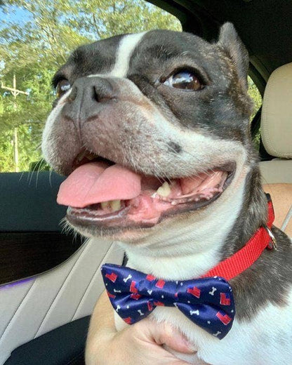 Red, White and Bones American Flag USA Dog Bow Tie