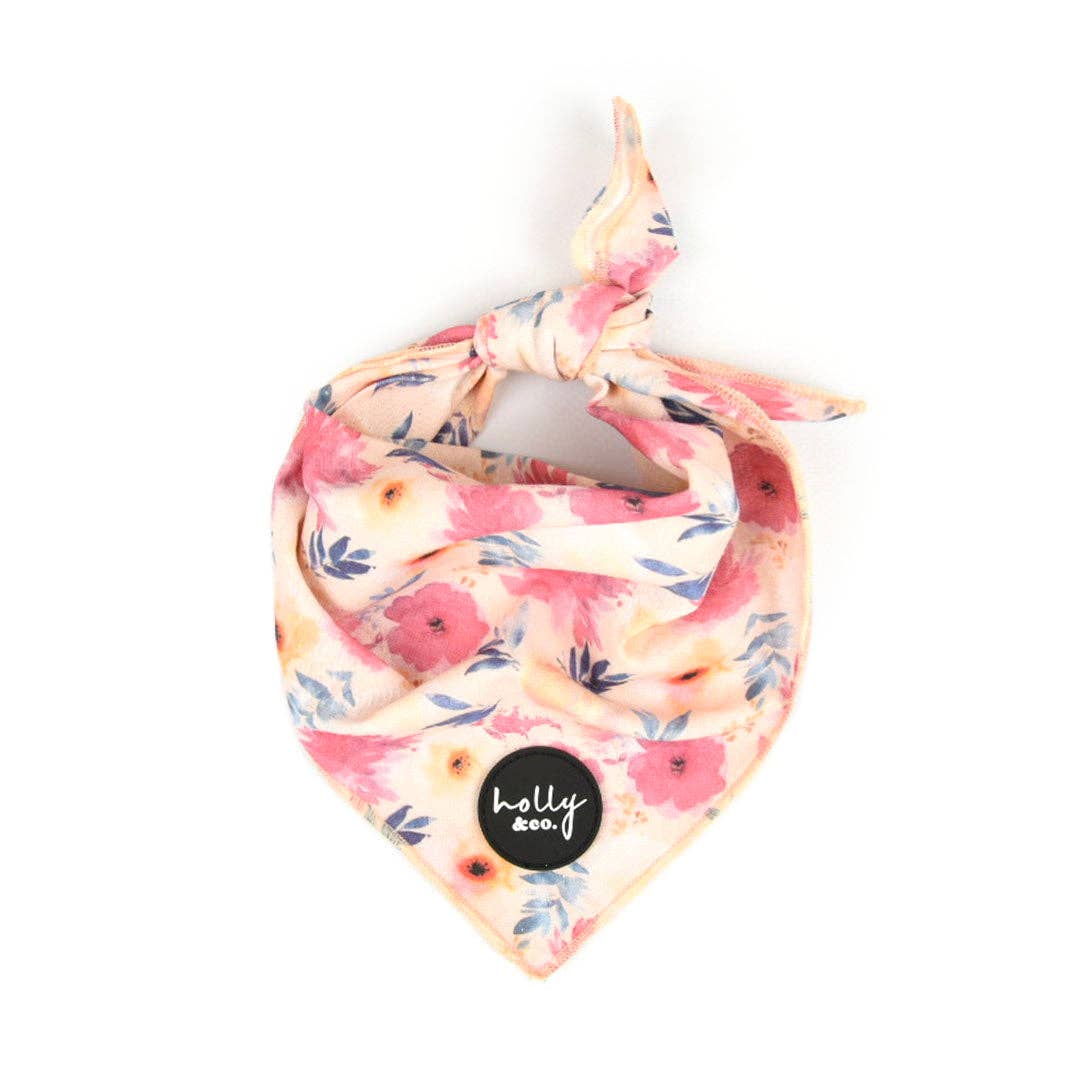 Dog Bandana - Sweet Coraline