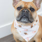 Checkered Cones Dog Bandana - Assorted Sizes