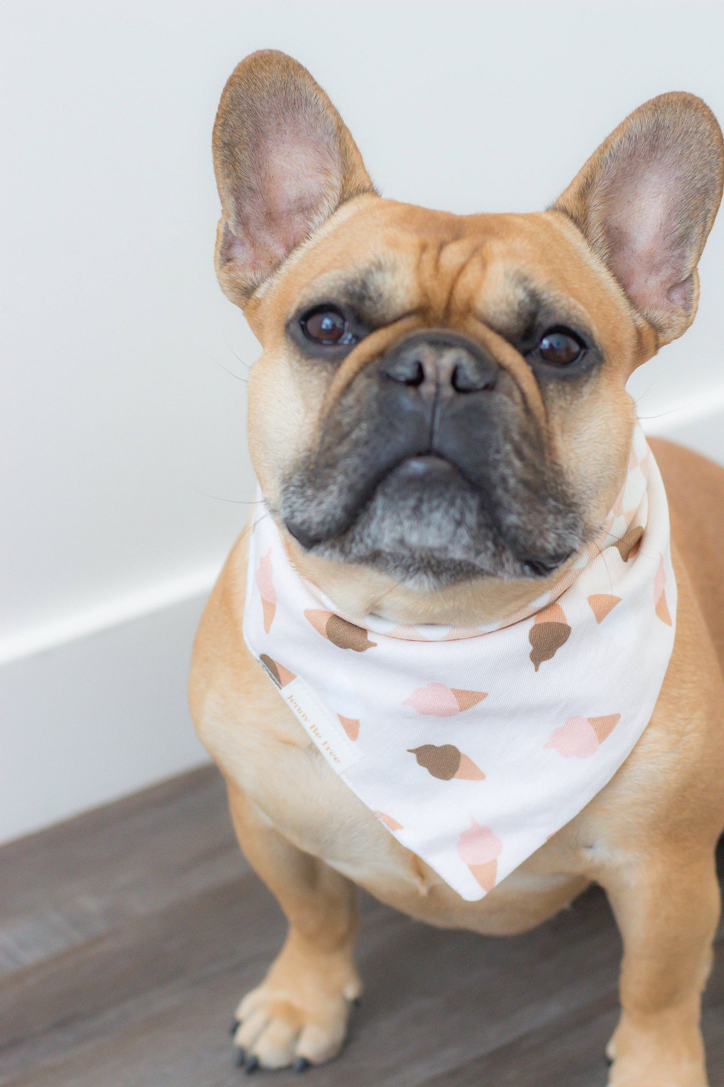 Bandana para perros con diseño de conos a cuadros (varios tamaños)