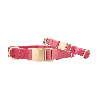 Ella Pink Dog Collar