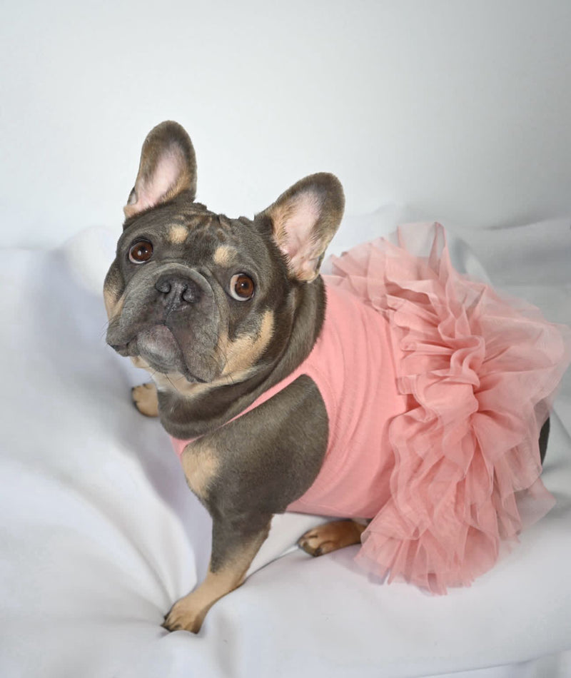 Pink dog tutu hotsell