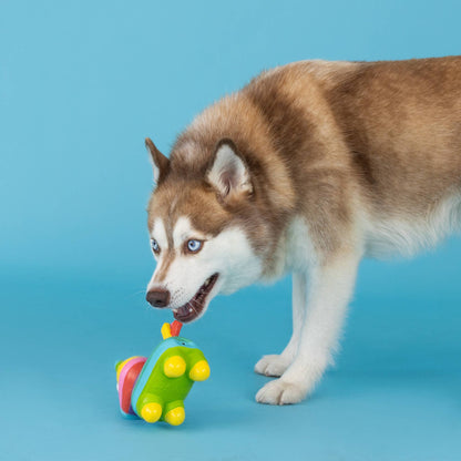 Life's a Paw-ty Latex Dog Toy