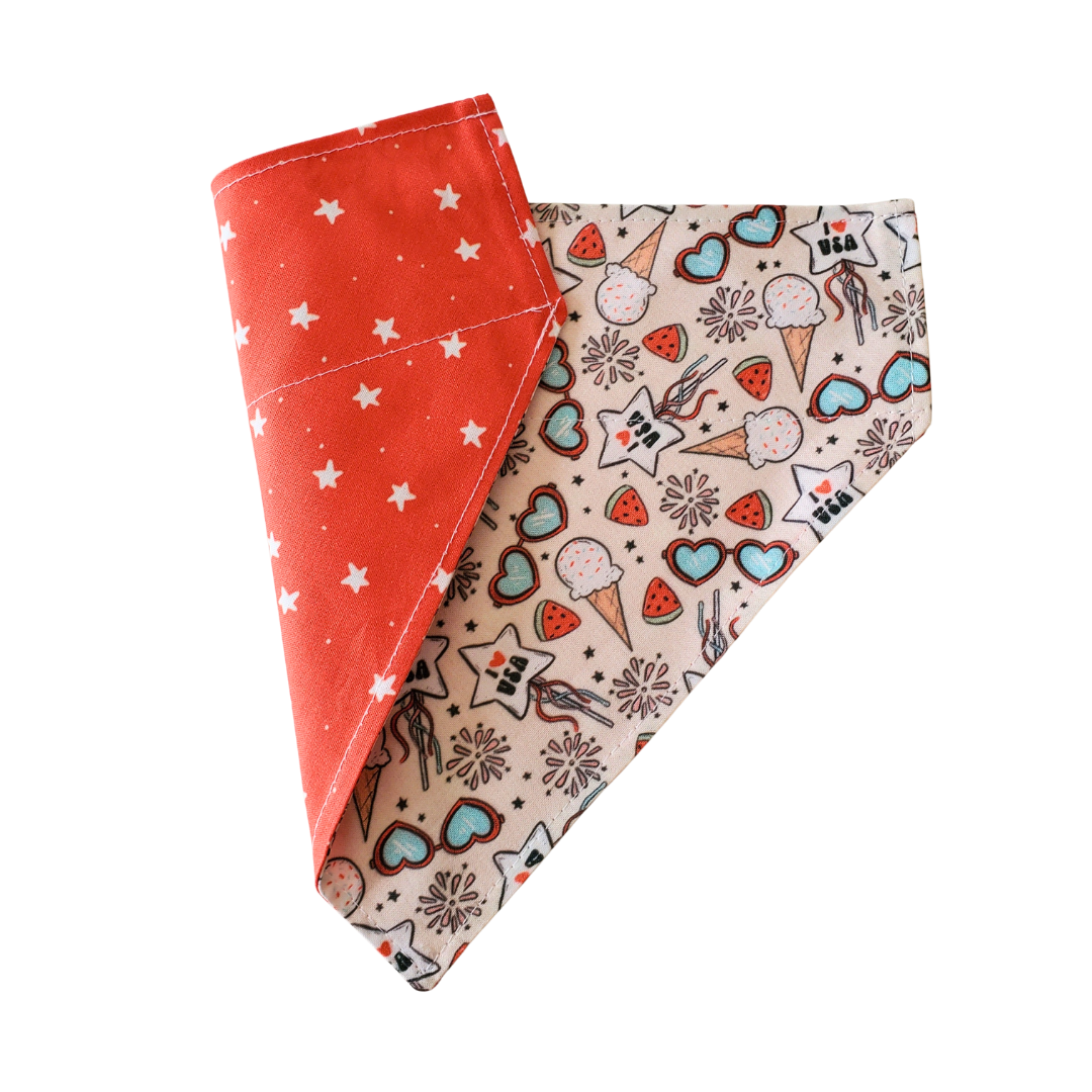 Celebración del 4 de julio: bandana reversible para collar de perro