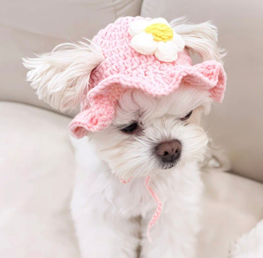 Pink Flower Dog Hat