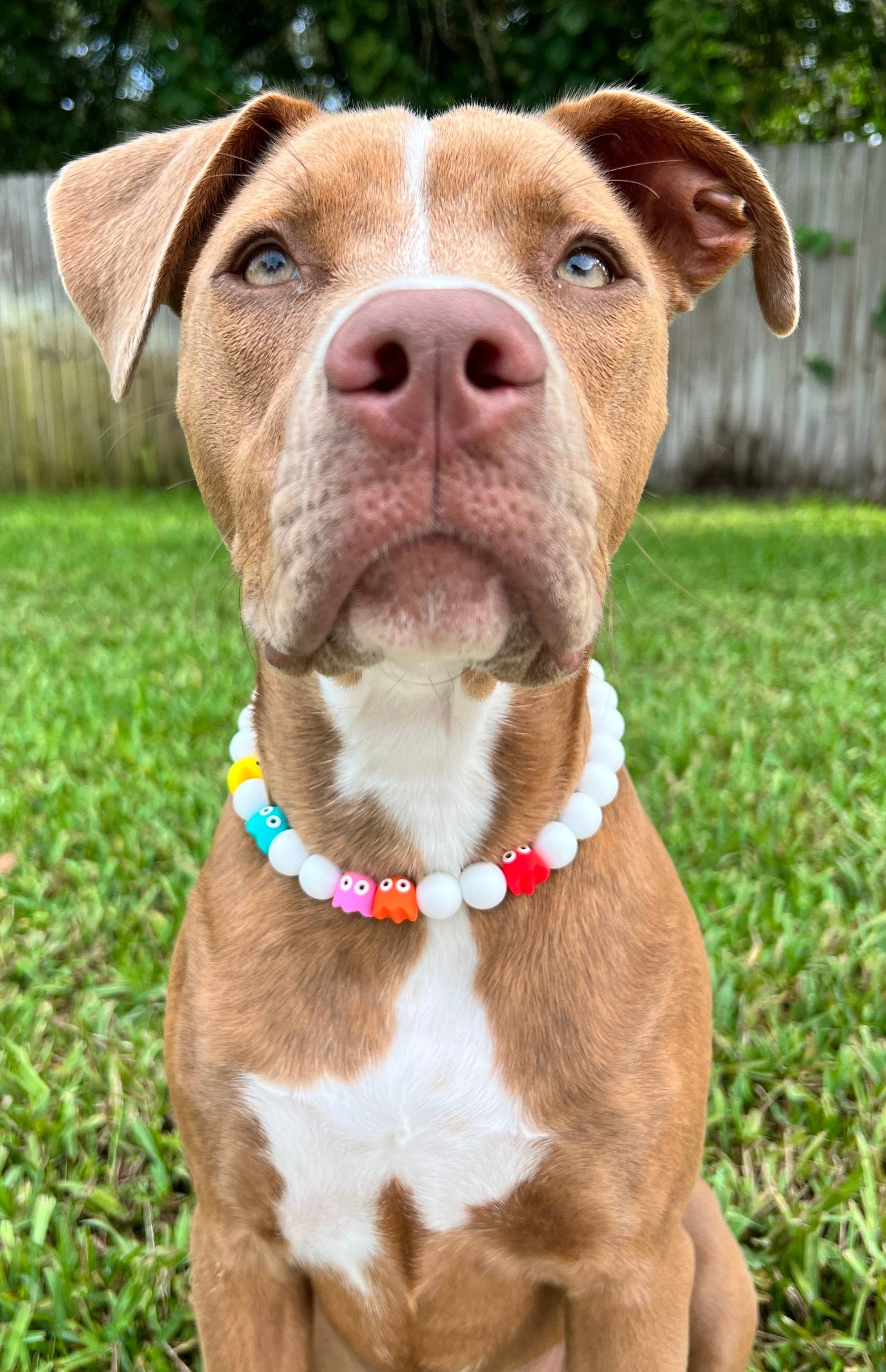 Collar para perro con diseño de juego retro