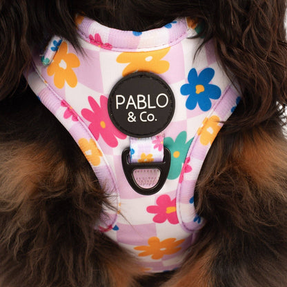 Delightful Daisies Adjustable Dog Harness