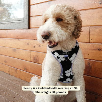 Far Out No-Pull Harness