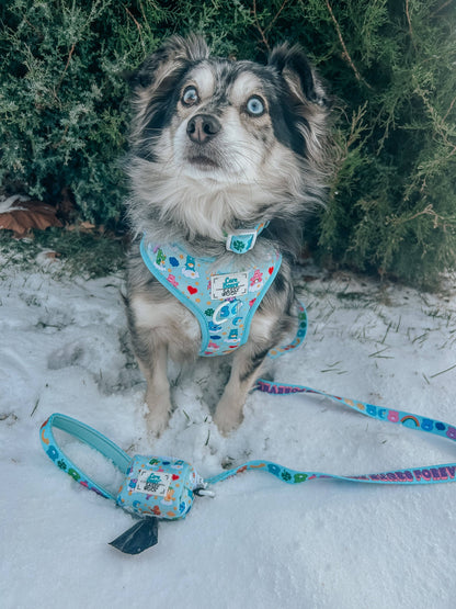 Dog Collar - Care Bears™ Care-a-Lot