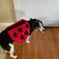 Lady Bug Halloween Dog Costume