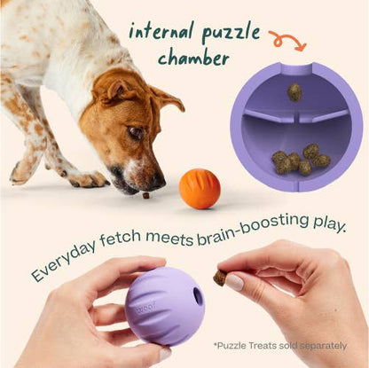 FlyBall Enrichment Treat Dispenser 3 Pack