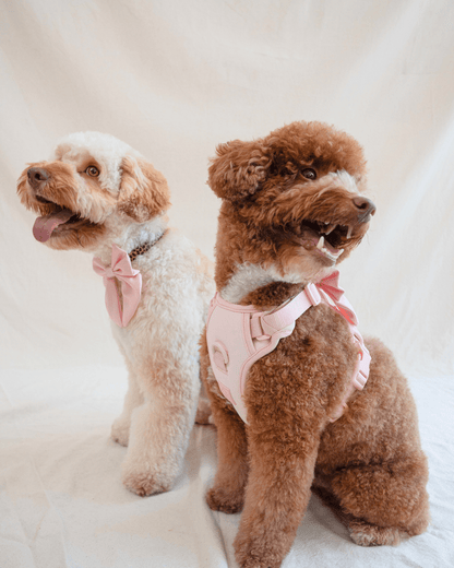 Wander! Blossom Pink Collar Sailor Bow