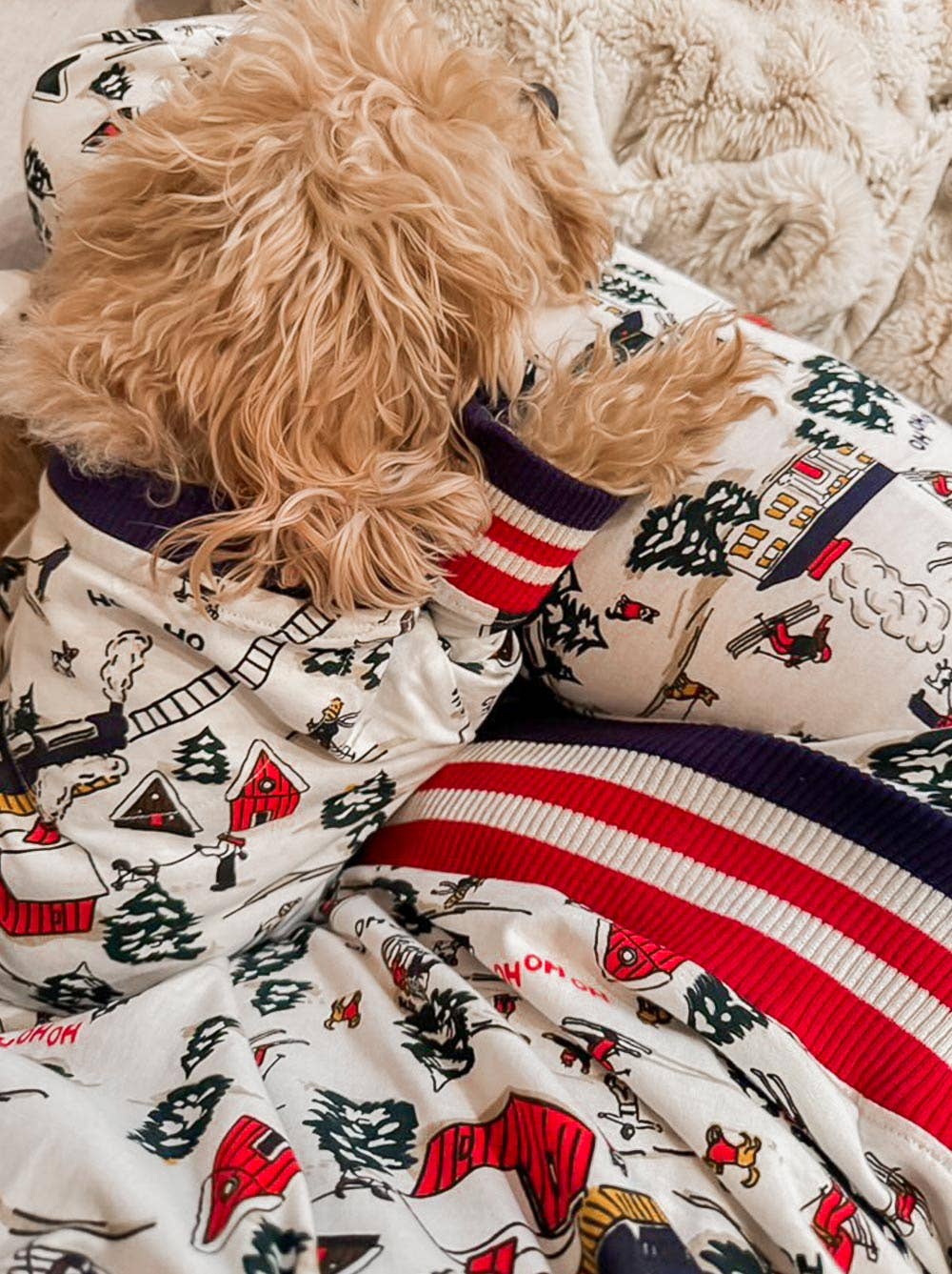 Where's Santa Dog Pajama