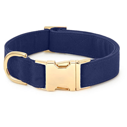 Collar para perro Ocean: S/Oro