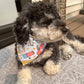 Back to School Dog Bandana