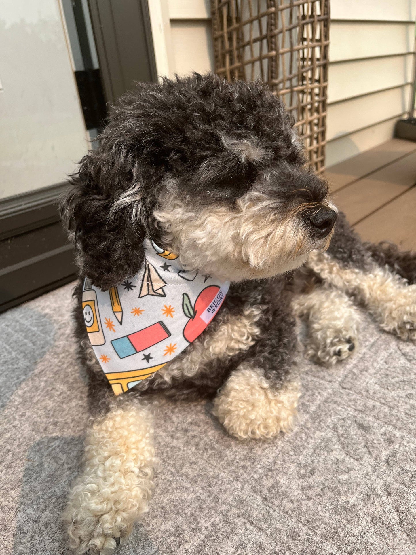 Back to School Dog Bandana