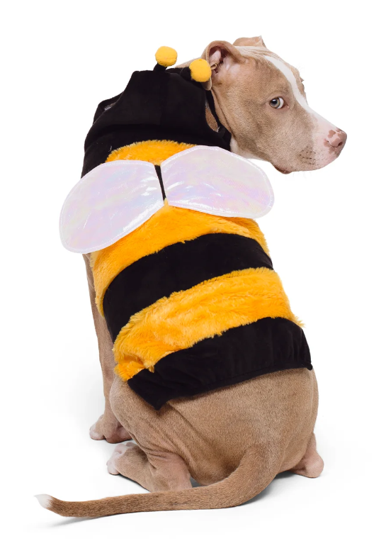 The Wanna-Bee Halloween Dog Costume