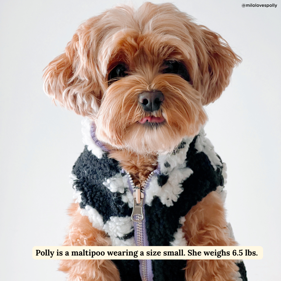 Far Out Reversible Teddy Vest