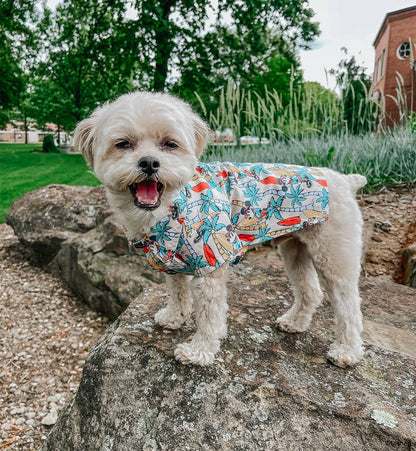 Mickey Mouse Dog Hawaiian Shirt