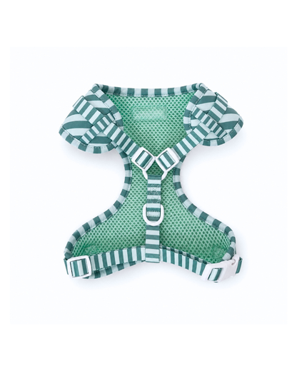 Mint and Green Striped Harness