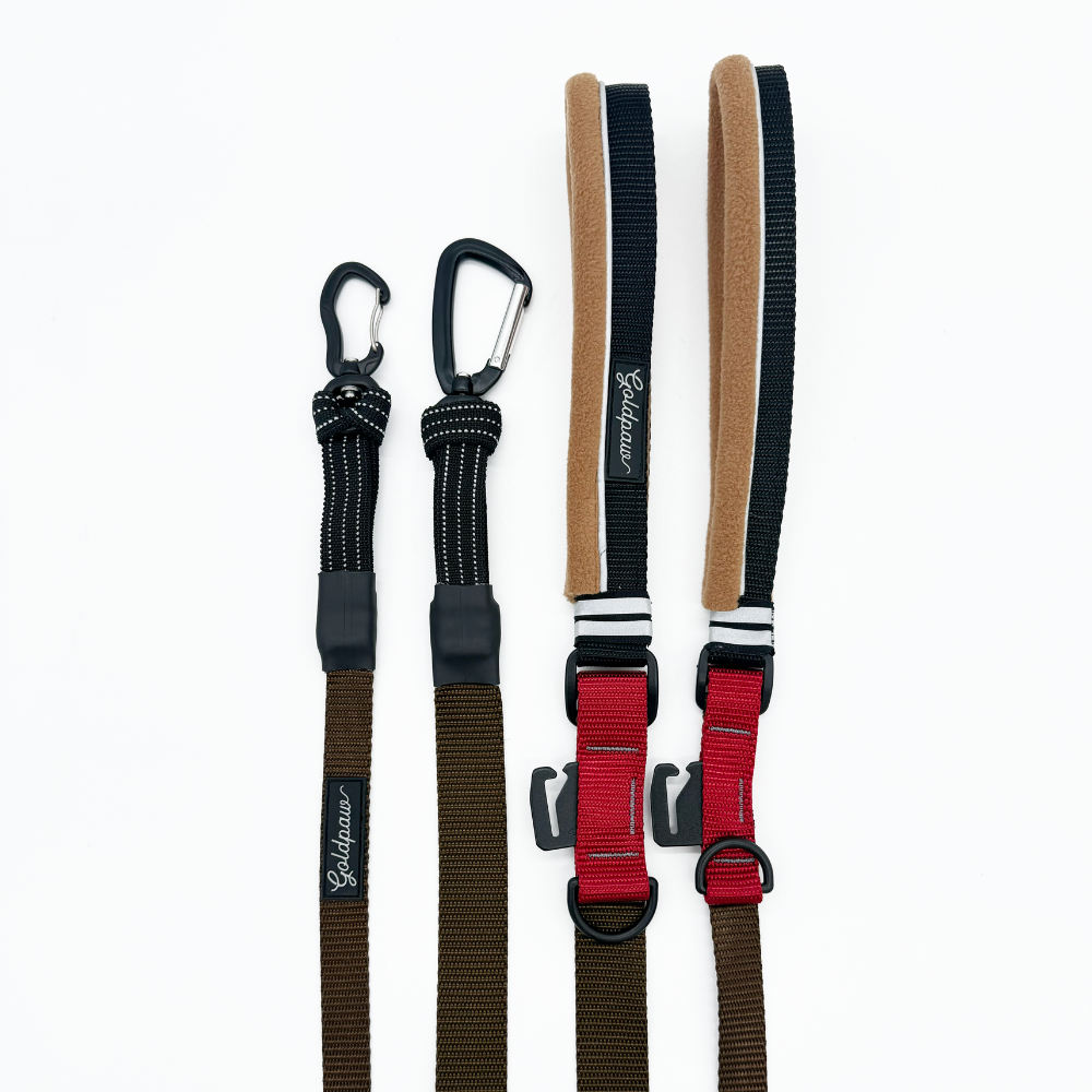 Featherweight Leash