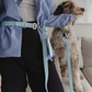 Hands Free Leash in Sky Blue 8"