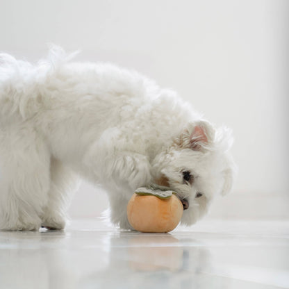 Juego de juguetes para perros con sabor a caqui y juguete para olfatear