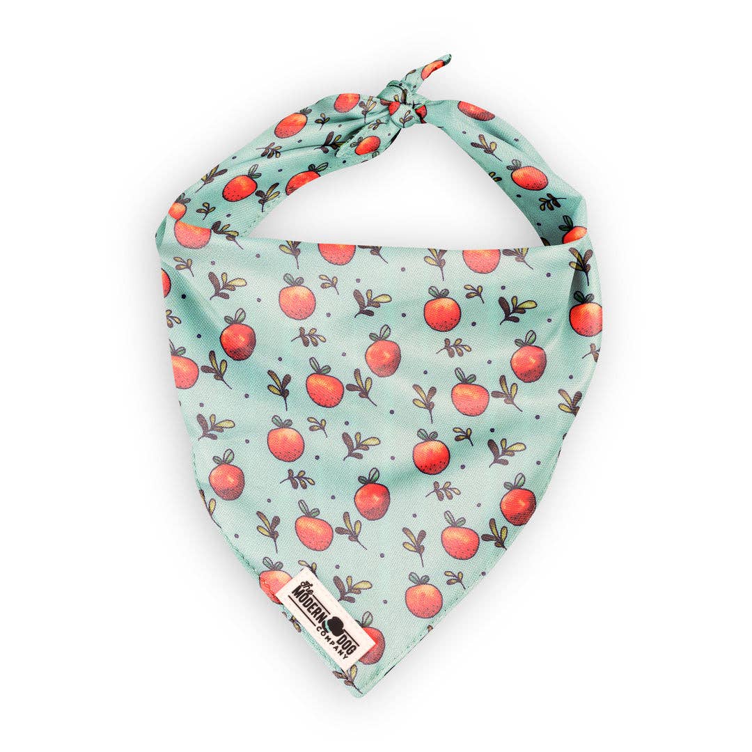 Feeling Peachy Reversible Bandana