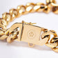 Cuban Link Chain Dog Collar - Gold: 17.7"