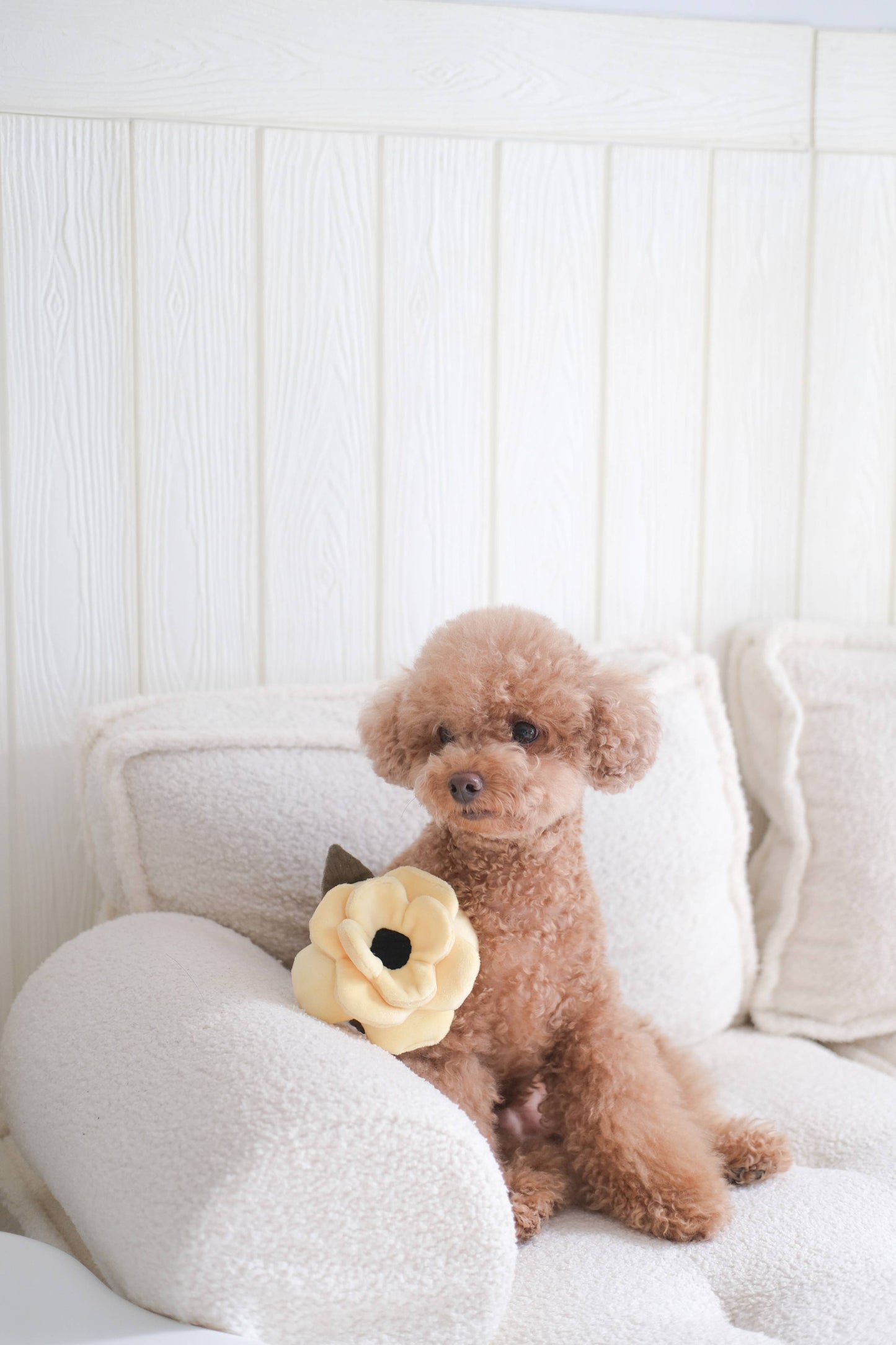 Poppy Snuffle Dog Toy - Assorted Sizes