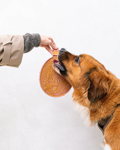 Juego de tapete y espátula para lamer adornos