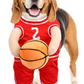 The Ball Hog Halloween Dog Costume