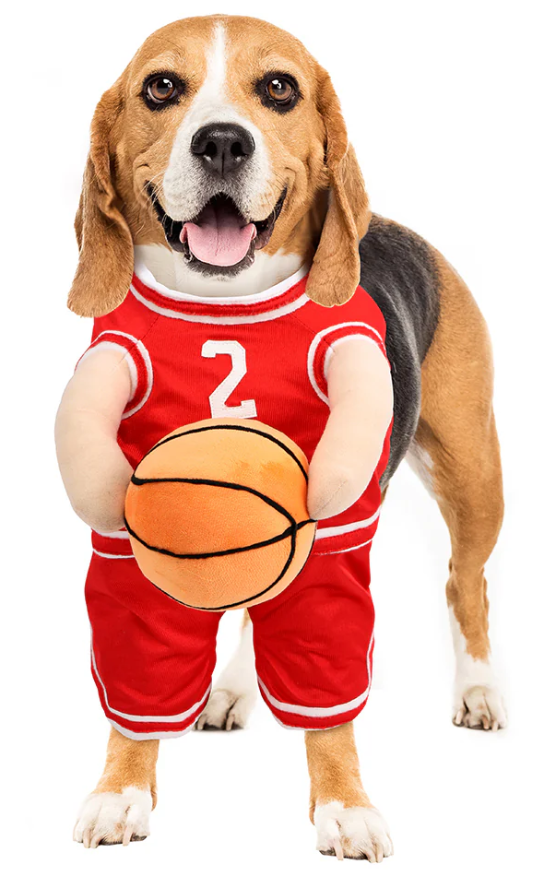 The Ball Hog Halloween Dog Costume