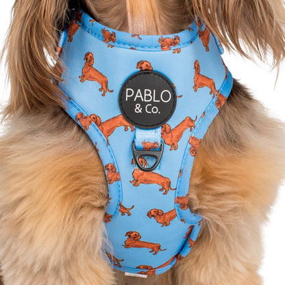 Arnés ajustable para perros Dachshund