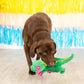 Thorny But Cute Rex Plush Dog Toy